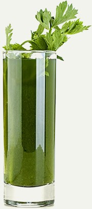 smoothie_workshop_1